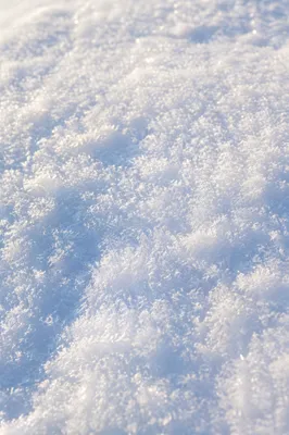 Pristine Snow Crystal Macro Background