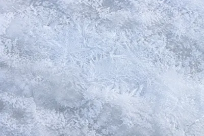 White Frost Crystal Snow Texture Background