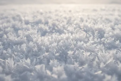 Photorealistic White Snow Crystal Texture