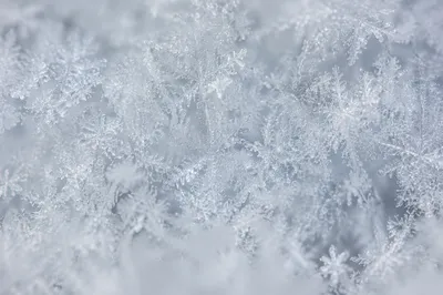 Macro White Snow Crystals Texture Background