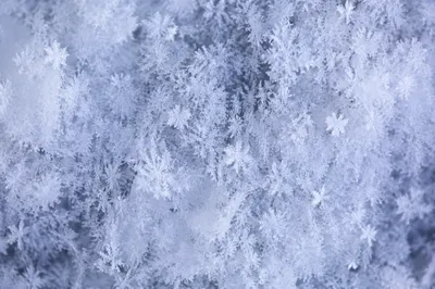 Fresh Snow and Ice Crystal Texture