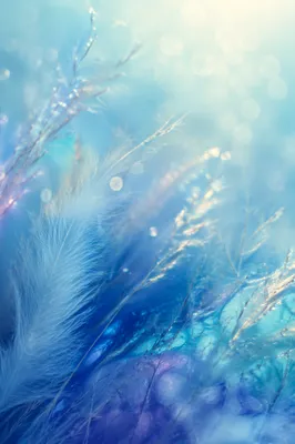 Blue Purple Bokeh Macro Fiber Background