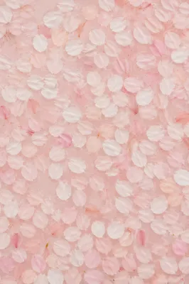 Soft Pink Cherry Blossom Petal Background