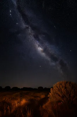 Starry Night Sky Background for Text