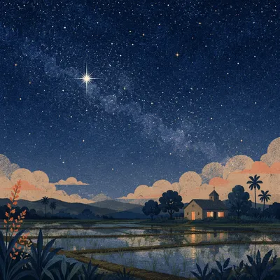 Single Bright Star Over Rural Wetland
