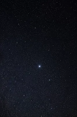 Bright Star in a Quiet Night Sky