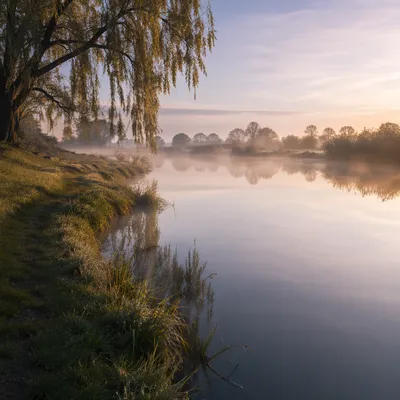 Still Waters Reflection at Dawn Meadow