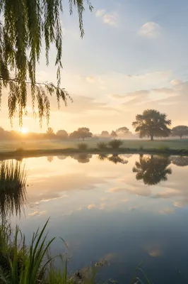 Still Waters Dawn Reflection Background