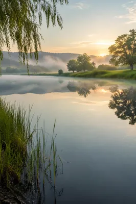 Still Waters Reflection at Dawn Background