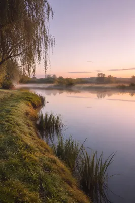 Still Waters Reflection at Dawn Meadow