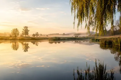 Still Waters Reflection at Dawn