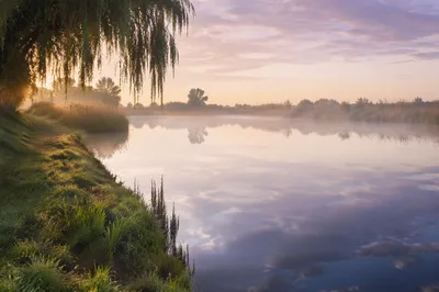 Still Waters Reflection at Dawn Meadow