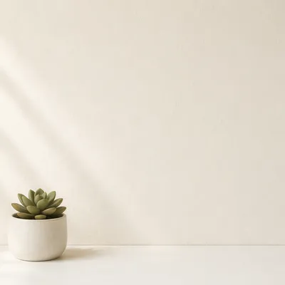 Minimal White Succulent Background with Copy Space