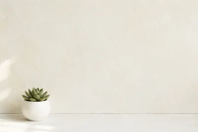 Minimal White Succulent Copy Space Background