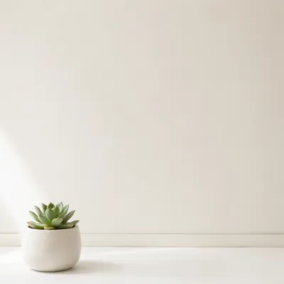 Minimal White Succulent Background with Copy Space