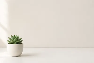 Minimal White Succulent Copy Space Background
