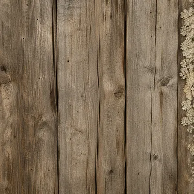 Rustic Weathered Wooden Plank Texture