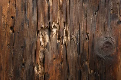 Rustic Weathered Brown Wood Texture Background