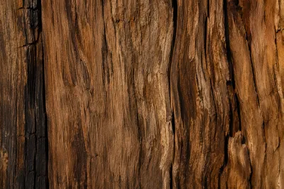 Rustic Brown Wood Texture Background
