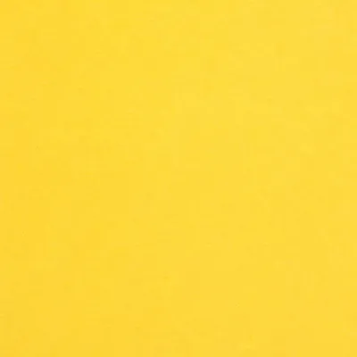 Bright Cheerful Yellow Matte Background