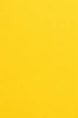 Bright Cheerful Solid Yellow Background
