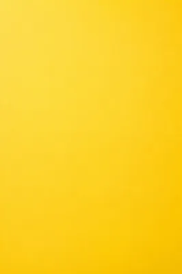 Bright Cheerful Yellow Studio Background