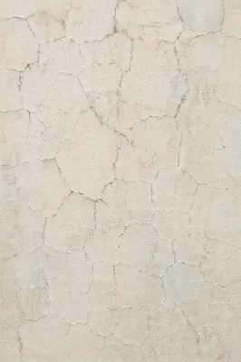Aged Off White Craquelure Canvas Texture