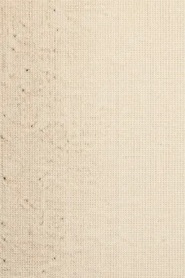 Pale Burlap Jute Fabric Texture Background