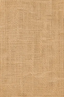 Rustic Burlap Jute Fabric Texture Background