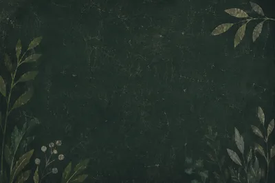 Blank Dark Green Chalkboard Texture