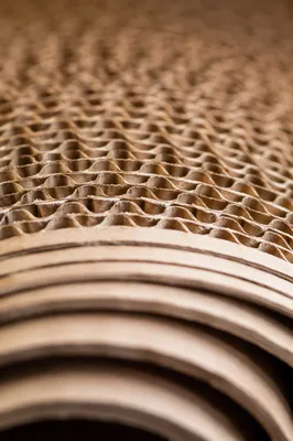 Macro Corrugated Cardboard Ridges Texture