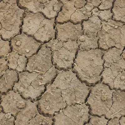 Cracked Desert Mud Earth Texture Background