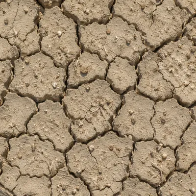 Cracked Desert Mud Seamless Background Texture