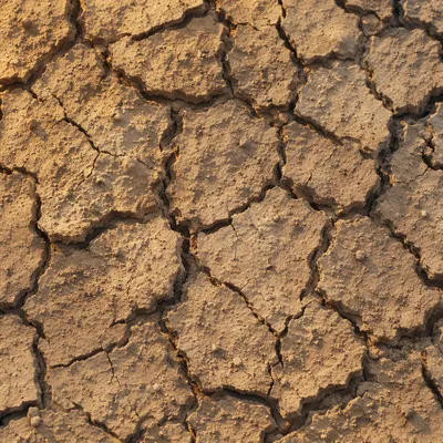 Cracked Desert Mud Texture Background