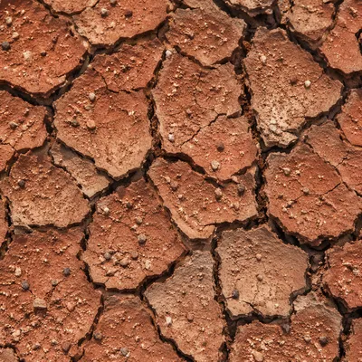 Cracked Desert Mud Texture Background