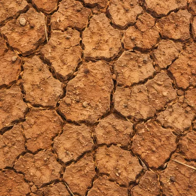 Cracked Desert Mud Earth Texture