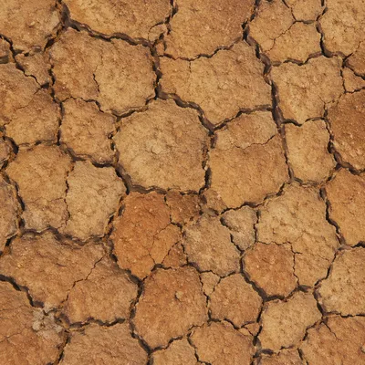 Cracked Desert Mud Texture Background