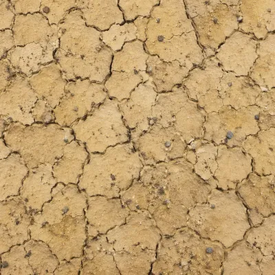 Cracked Desert Mud Texture Background