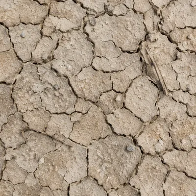Parched Desert Mud Crack Texture Background