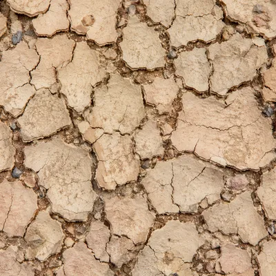 Cracked Dry Mud Desert Texture Background