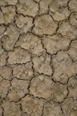 Cracked Desert Mud Texture Background