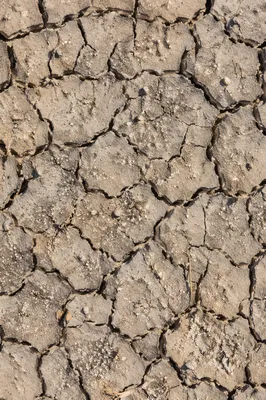 Cracked Desert Mud Texture Background