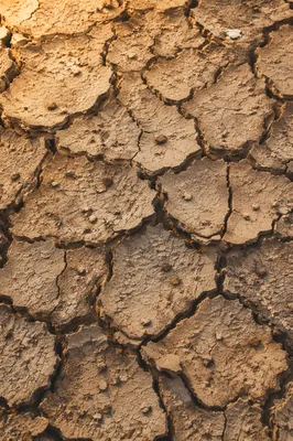 Cracked Desert Mud Texture Background