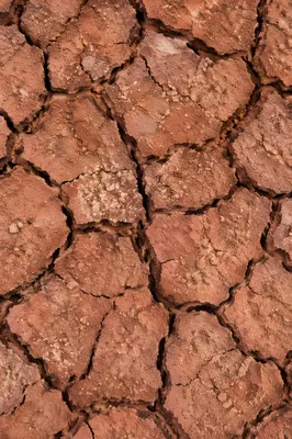 Cracked Desert Mud Texture Background