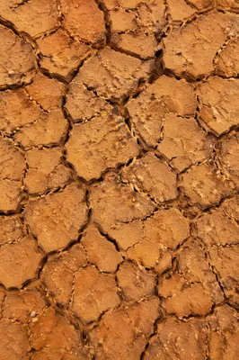 Cracked Desert Mud Earth Texture