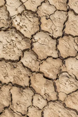 Parched Desert Mud Cracked Earth Texture