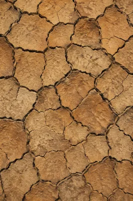 Cracked Desert Mud Texture Background