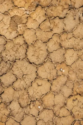 Cracked Desert Mud Texture Background