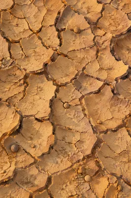 Cracked Desert Mud Texture at Golden Hour
