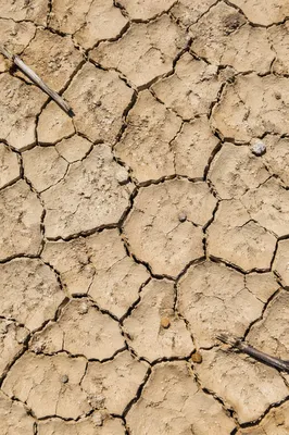 Parched Desert Mud Crack Texture Background